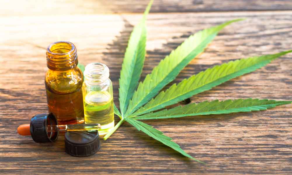 What Does A Cannabis Nurse Do?